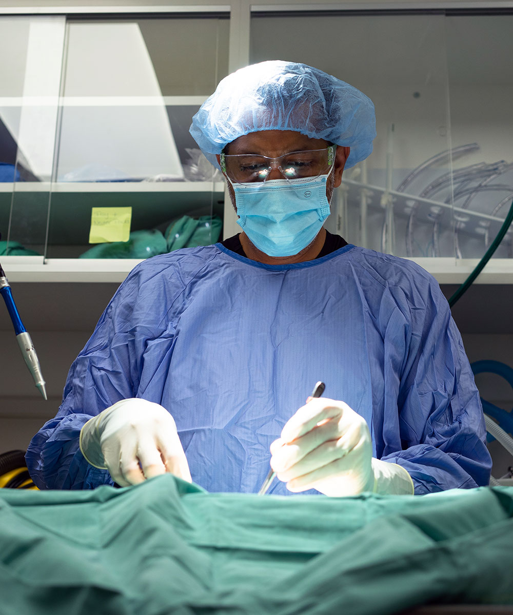 Abell Veterinarian During Surgery