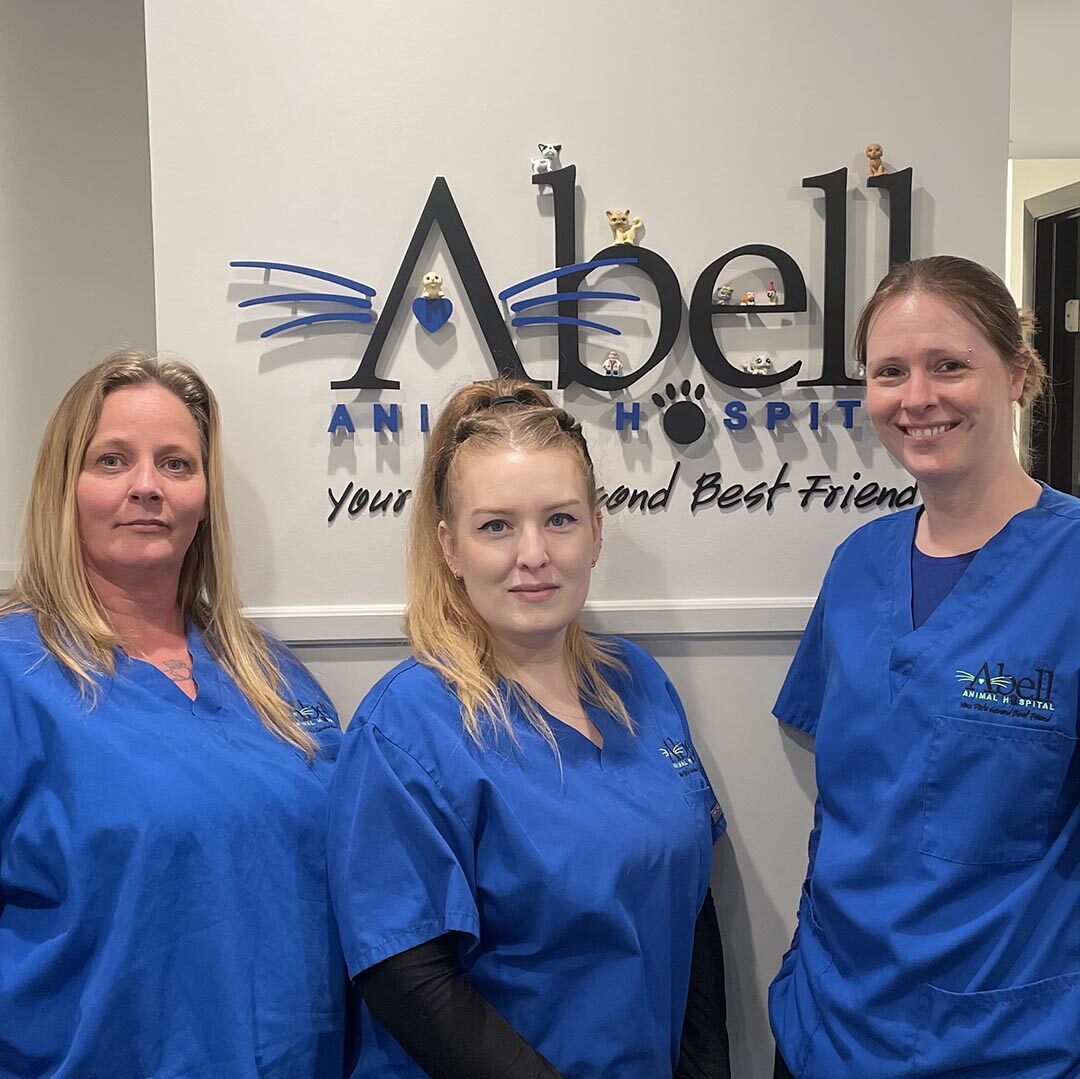 Career Opportunities At Abell Animal Hospital