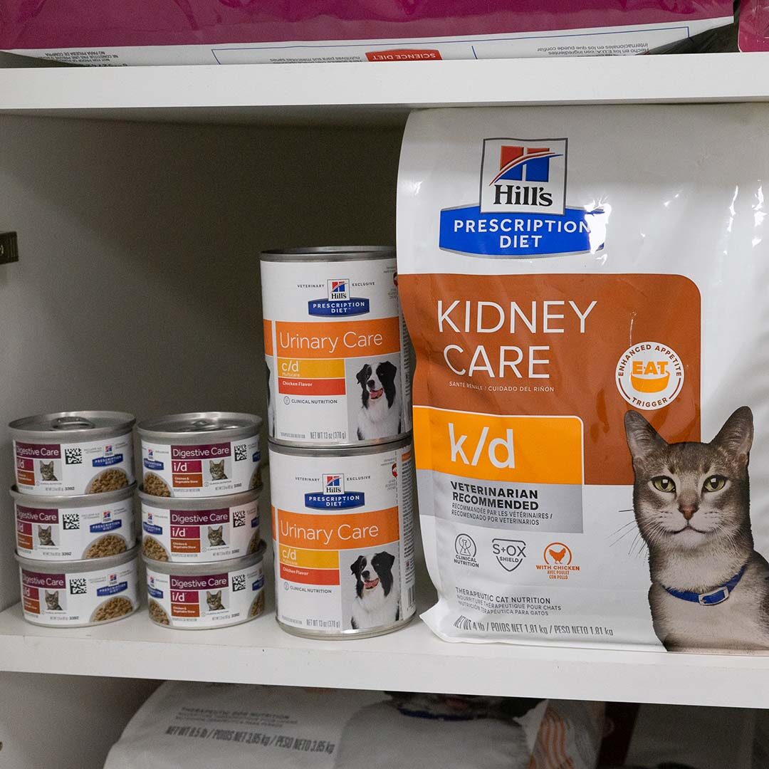 cat and dog nutrition in norwood park, chicago, il